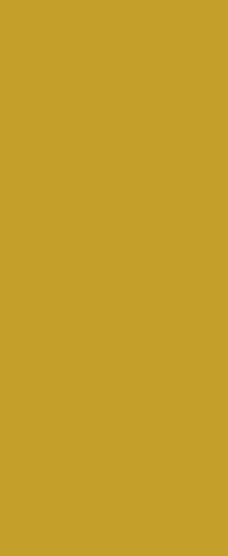 yellow rectangular background